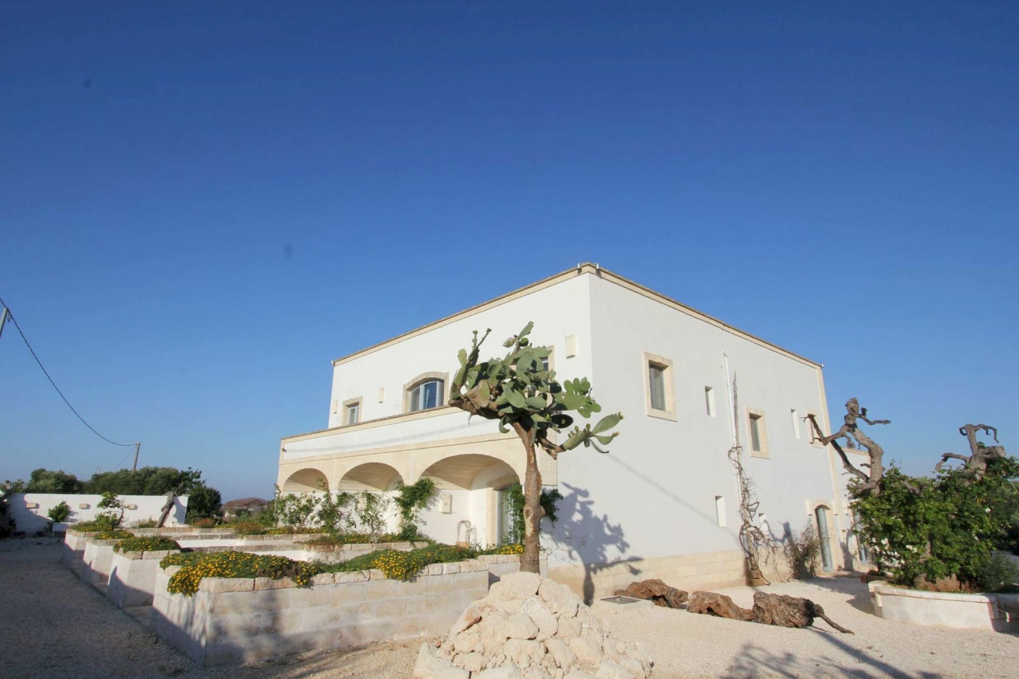 Masseria Lama Di Coccaro Savelletri Bagian luar foto